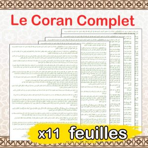 Centre Cherkaoui, Spécialiste traitement mal occulte par La roqya. traitement de la sorcellerie, djinns et mauvais oeil, Zouhri, blocage dans la vie, mariage, divorce, par le Coran et la médecine prophétique